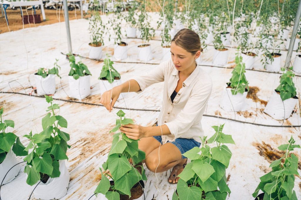 A woman carefully tending to plants in an indoor greenhouse, showcasing modern farming techniques.